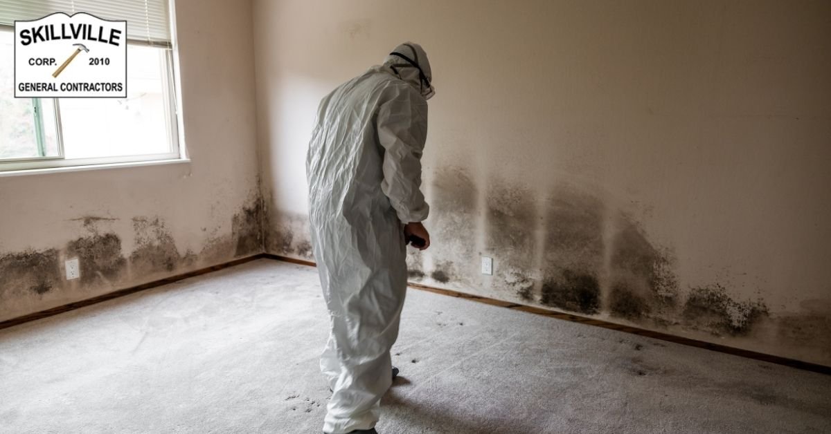 Should You DIY or Hire a Pro for Attic Mold in Methuen